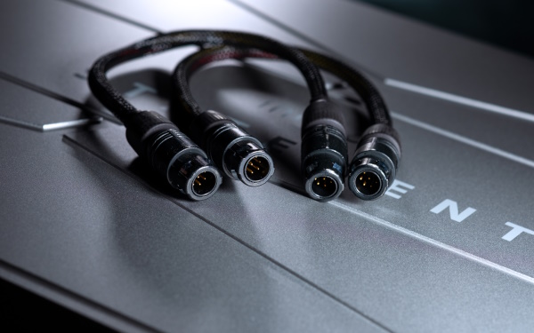 Innuos Premium Umbilical Cord